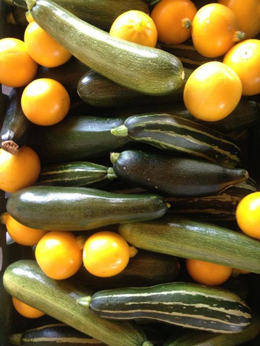 organic-courgettes