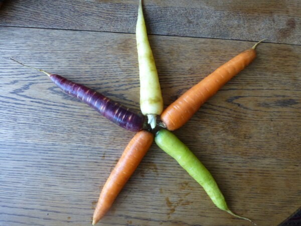 Rainbow carrots star