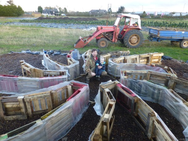 raised beds mandala