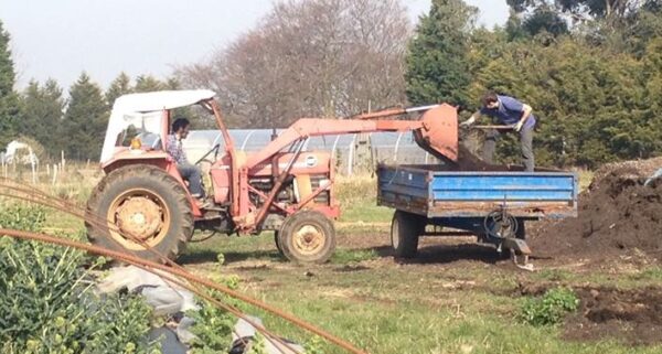 composting-pic