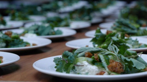 broad-bean-salad-burnet