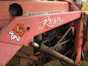 rosa-tractor-painting