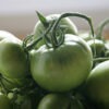 green-tomatoes