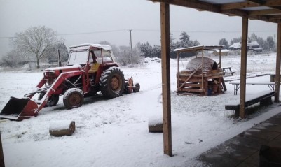 Snow on Sutton Community Farm