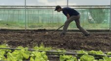 Develop knowledge and practical skills in agroecological farming